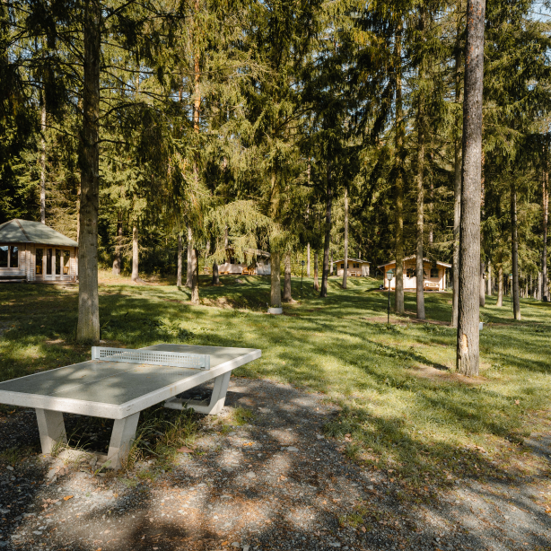Vogtlandcamping
